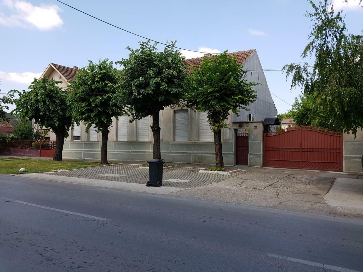 Kikinda Apartman Vila Milica מראה חיצוני תמונה