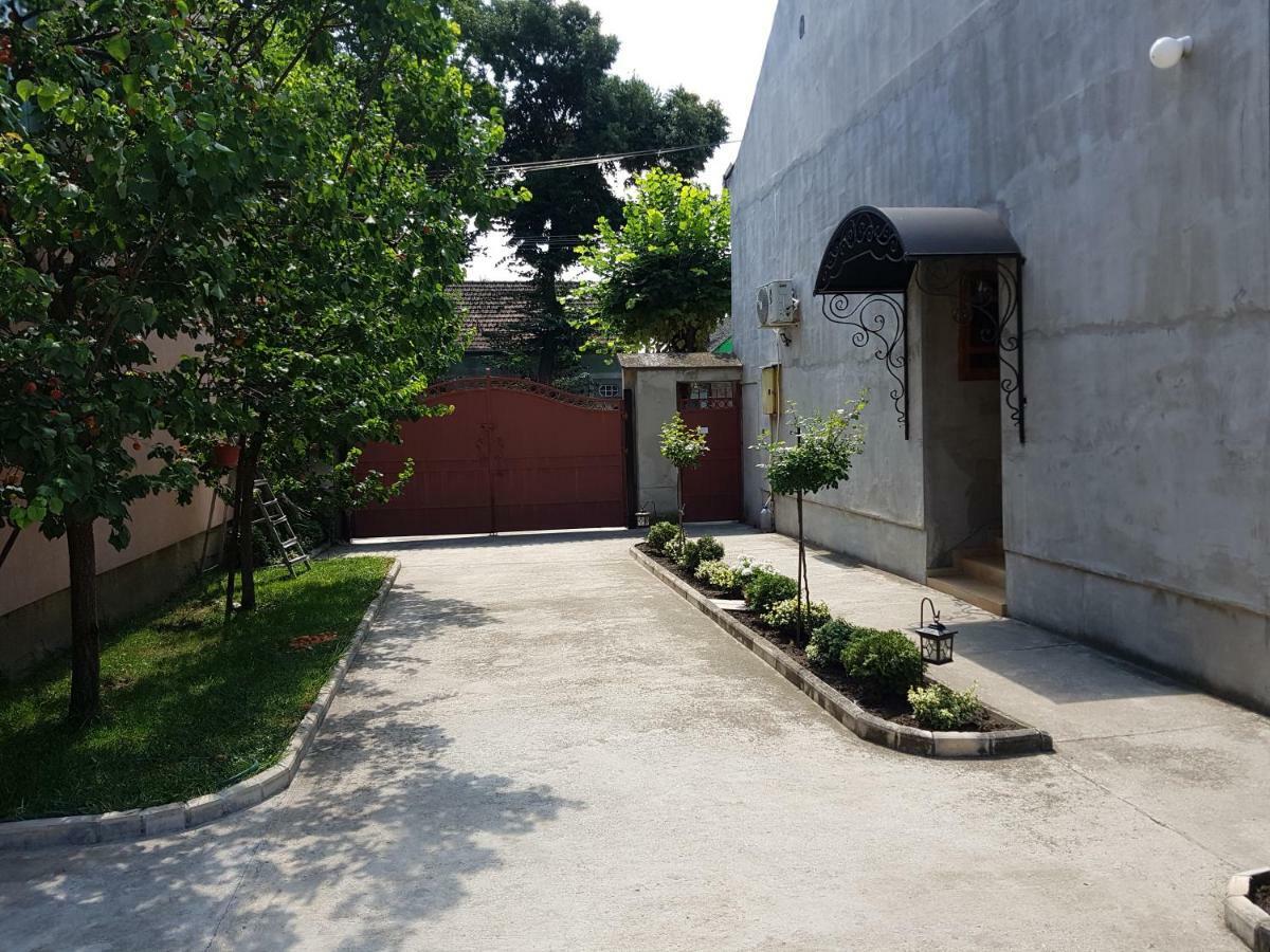 Kikinda Apartman Vila Milica מראה חיצוני תמונה