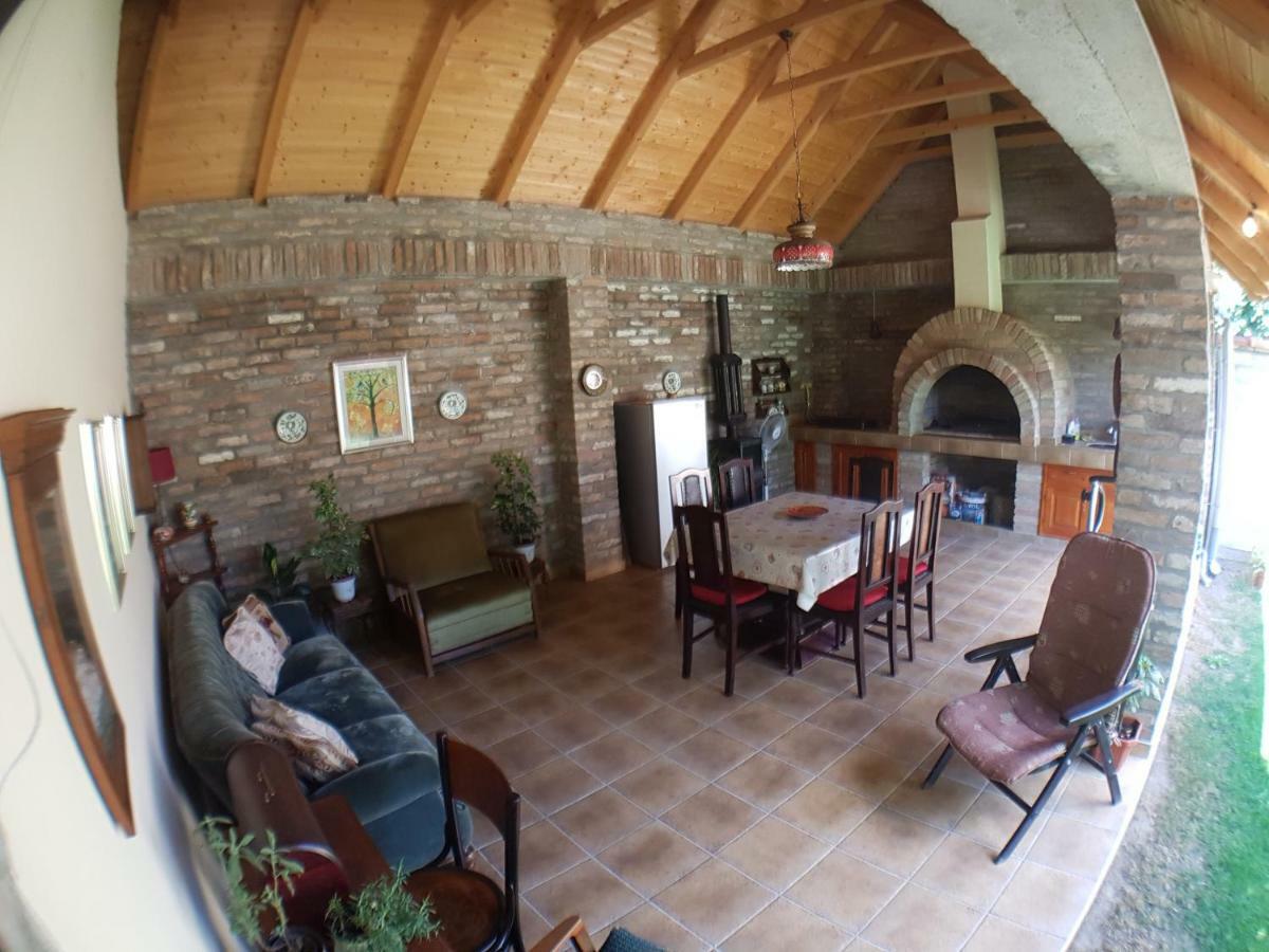 Kikinda Apartman Vila Milica מראה חיצוני תמונה